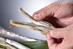 瀬戸内産さよりの一夜干し 干しさより 瀬戸内旬の味紀行 倉敷 魚伊山陽路